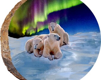 Polar Bears Under Auroras DAB203