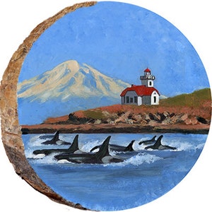 San Juan Islands DCW173