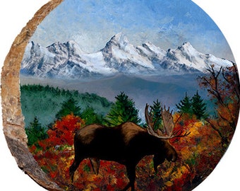 Moose in Fall Tetons DAE458