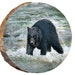 see more listings in the Bears section