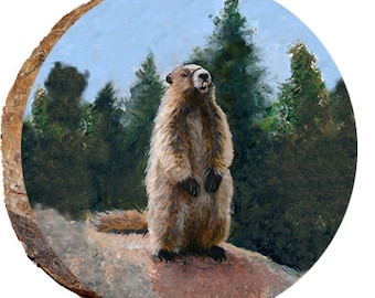 Marmot - DAS023