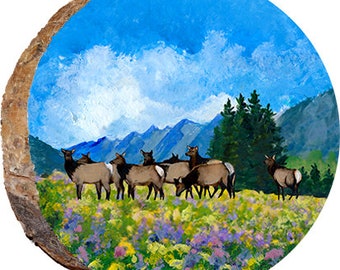 Herd of Elk in Field of Flowers DAE453