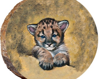 Cougar cub - DAC023
