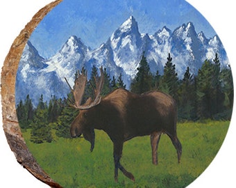 Moose in the Spring - DAE320