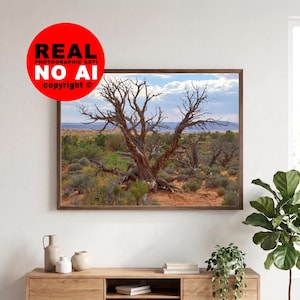 Desert Tree Wall Art Poster, Southwest Landscape Print, Rustic Western Decor, Moab Utah USA