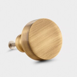 May include: A round, brushed brass cabinet knob with a slightly raised edge. The knob has a screw on the back for mounting.