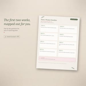May include: A digital checklist titled First 2 Weeks Checklist with day-by-day guidance for new and expecting dads. The document features eight rectangular boxes for daily tasks, a pink section for reminders, and text reading Instant Download PDF.