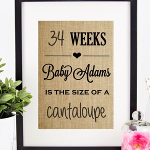 Dry Erase Pregnancy Countdown | Pregnancy Announcement | Baby Reveal | Burlap Print | Photo Prop | Baby Fruit Size | Week by Week | Due Date