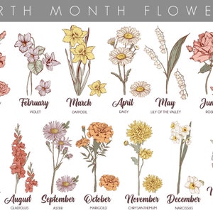 May include: A chart displaying the birth month flowers, featuring hand-drawn illustrations of each bloom. The flowers are organised in rows by month, with the name of the flower and month listed beneath each illustration. The flowers include carnation, violet, daffodil, daisy, lily of the valley, rose, larkspur, gladiolus, aster, marigold, chrysanthemum, narcissus, and forget-me-not.