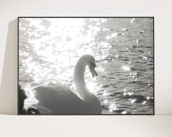 Mount Fuji Swan Print, Black and White Water Wall Art (Digital Download)