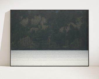 Oze Japan Forest Lake Photography Print, Quiet Nature Wall Art (Digital Download)