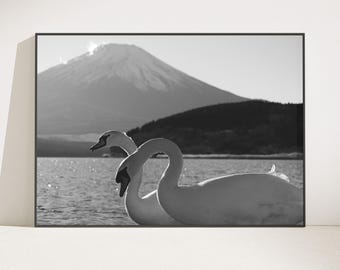 Lámina con diseño de cisnes gemelos y el Monte Fuji en blanco y negro (descarga digital)