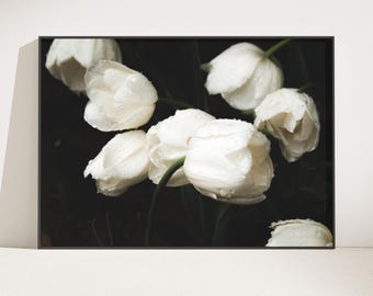 White Flowers with Dew Drops Print, Dark Background Close-Up Wall Art (Digital Download)