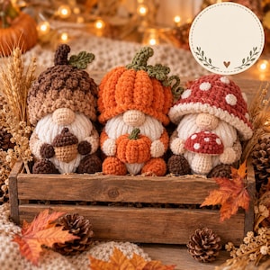 May include: Three crocheted gnomes sitting in a wooden crate. The left gnome wears a brown acorn hat and holds a small acorn. The center gnome wears an orange pumpkin hat and holds a small pumpkin. The right gnome wears a red mushroom hat.