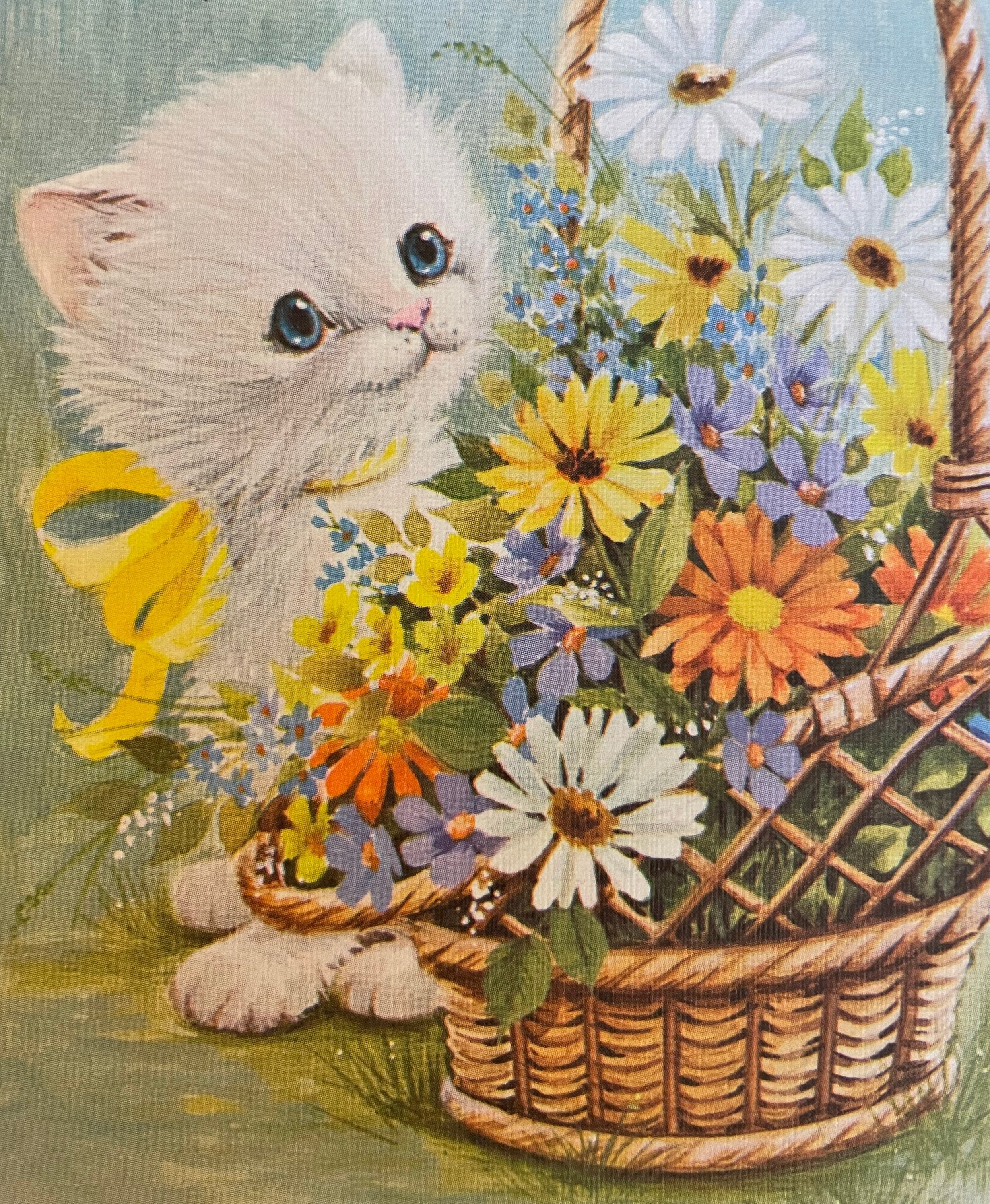 ワンピース Kitten in Flower Basket Amavel Kitten in Flower Basket