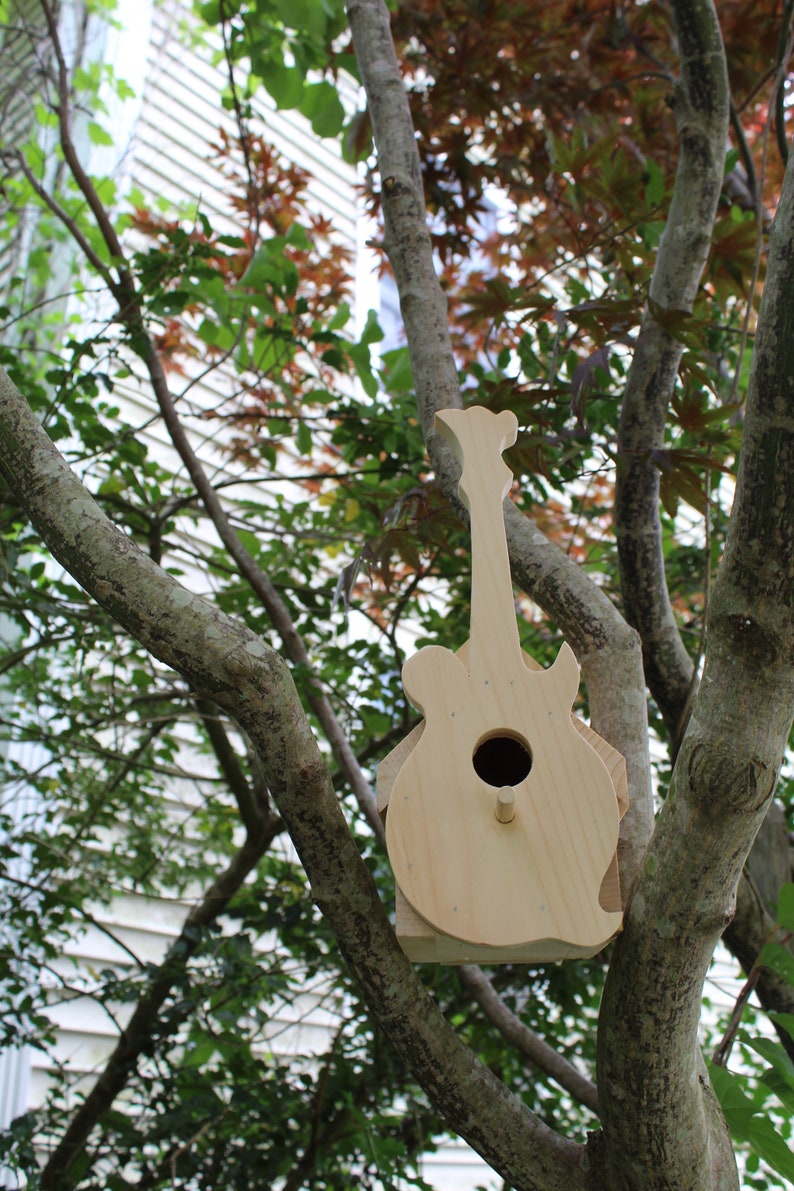 Guitare banjo mandoline violon basse Instrument Bird House Cadeaux pour musiciens Toute occasion Anniversaire Anniversaire Maman Papa ou Grand-parent Cadeau mandolin