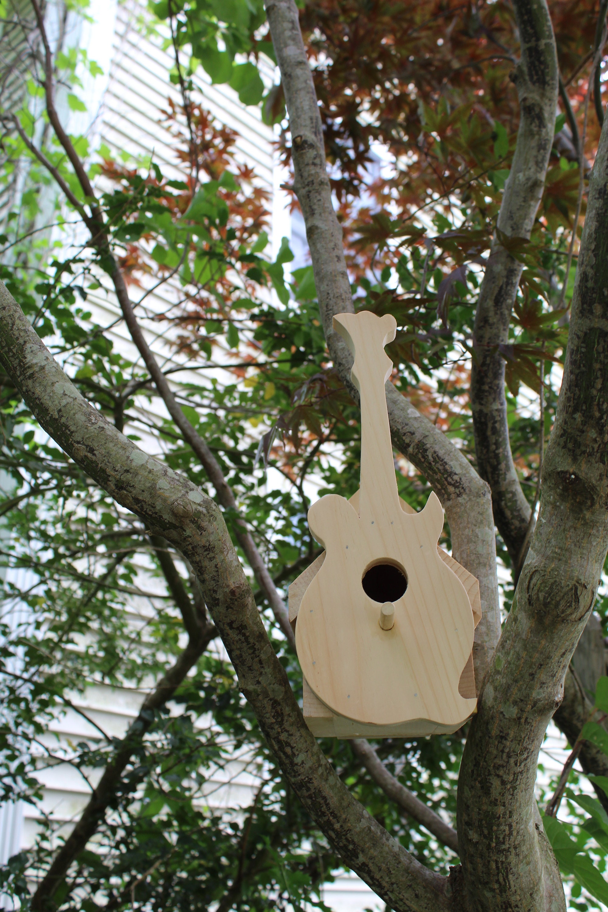 Guitar Banjo Mandolin Fiddle Bass Instrument Bird House; Gifts for ...