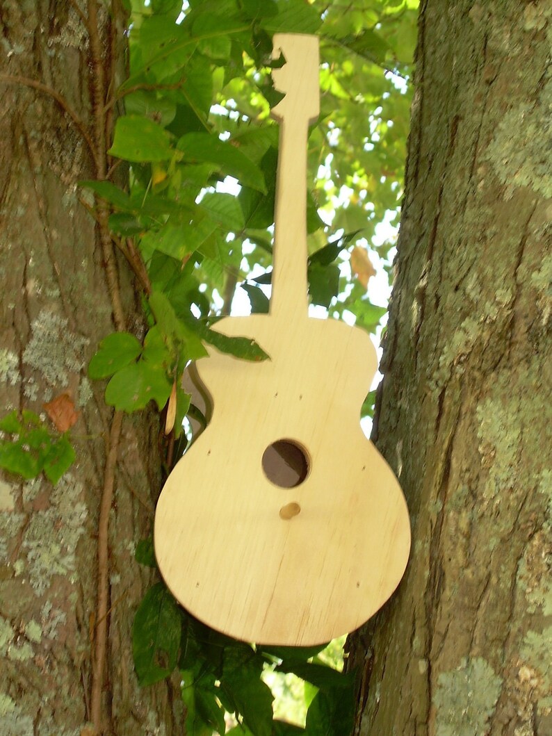 Guitar Banjo Mandolin Fiddle Bass Instrument Bird House Gifts Etsy UK