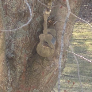 May include: A wooden birdhouse shaped like a guitar is attached to a tree trunk. The birdhouse is painted brown and has a small opening for birds to enter.