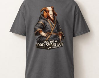 May include: A charcoal gray short-sleeve t-shirt featuring a graphic of a brown goat wearing a dark blue robe with gold trim. Below the goat, the text reads, "YOU'RE A GOOD, SMART BOY" in white capital letters with two small star icons.