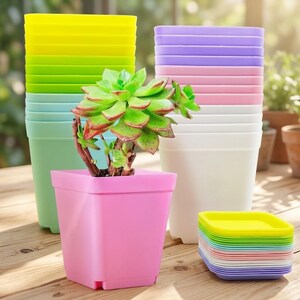 Set van 24 kleurrijke plantenpotten | Vierkante plastic kweekpotten met schotels | Plantenpotten voor vetplanten