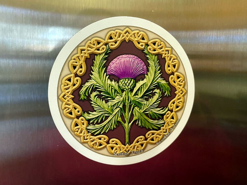 Scottish Thistle Die-Cut Magnet Traditional Celtic Scottish Gift Emblem of Scotland image 3