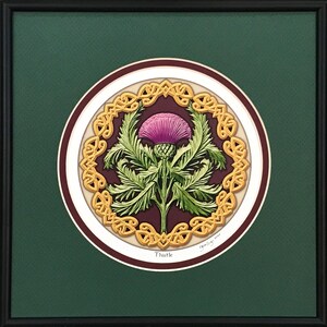 Thistle Framed Digital Print 10 x 10 Scotland, Highland, Scottish Celtic Gift Green-Maroon