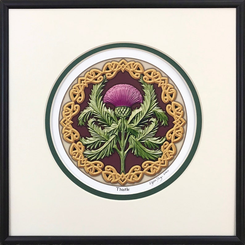 Thistle Framed Digital Print 10 x 10 Scotland, Highland, Scottish Celtic Gift White-Green