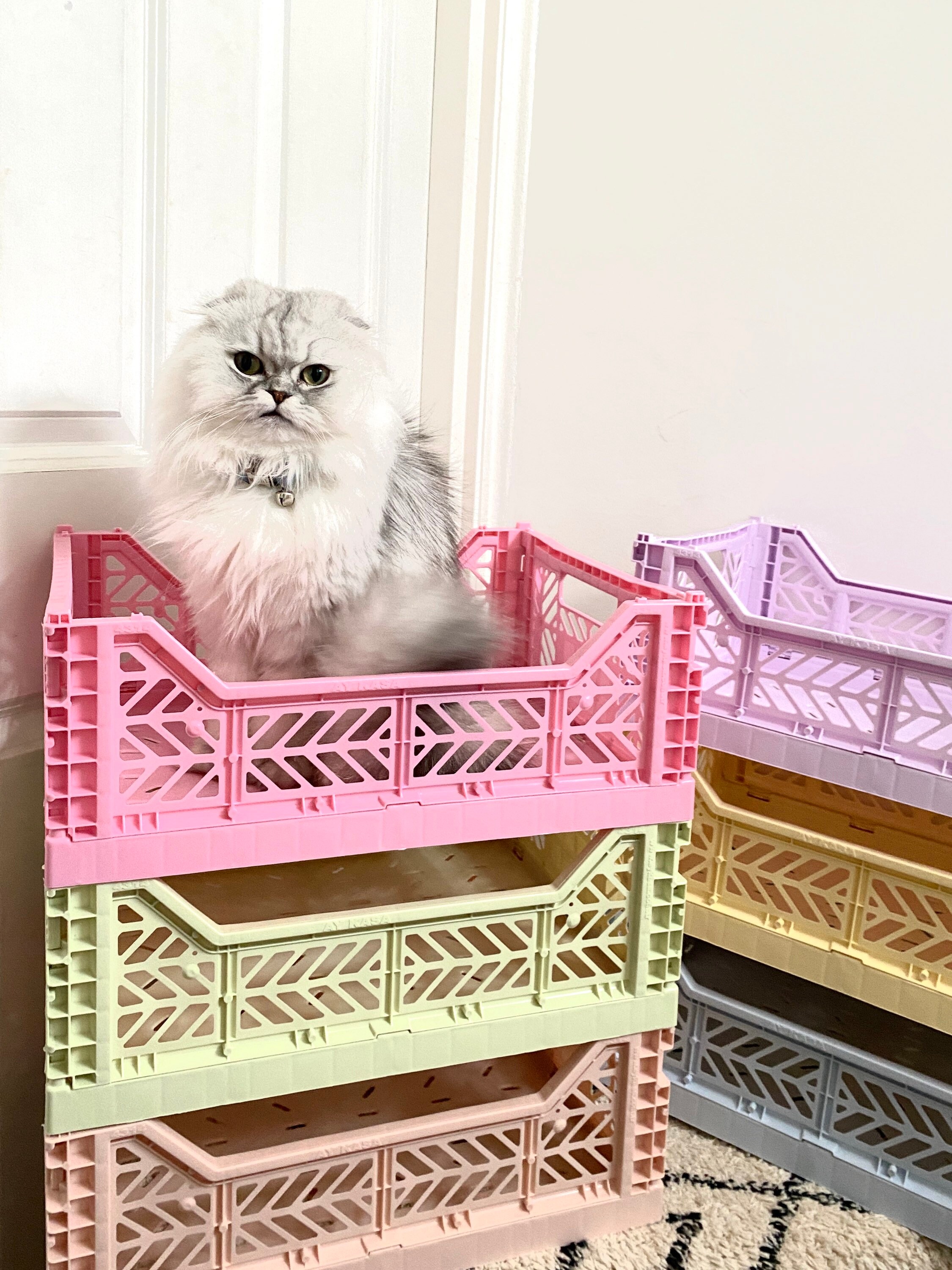 AYKASA Pastel Storage Crates Cute Pastel Storage Crate Etsy Australia