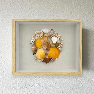May include: A rectangular shadow box frame with a light wood finish containing a circular arrangement of various seashells and a single orange starfish. The collection includes white, tan, brown, and bright yellow shells set against a neutral background.