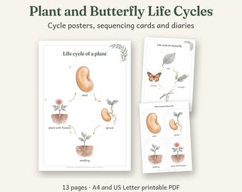 Plant and Butterfly Life Cycles Printable, Australian Classroom Decor, Calm Watercolour, 13 Pages, A4 and US Letter PDF