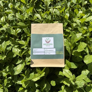 May include: A rectangular brown paper coffee bag with a green label featuring the Green Soul Coffee logo, the text Guatemala, and the words Since 2026 Wholebean. The label includes blank fields for roast date and net weight, centered on the package.
