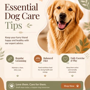Może przedstawiać: Plakat informacyjny zatytułowany Essential Dog Care Tips z golden retrieverem, zawierający sekcje dotyczące regularnej pielęgnacji, zbilansowanej diety oraz codziennych ćwiczeń i zabawy. Projekt zawiera ikony łap i liści.