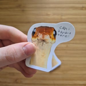 以下が含まれることがあります： 茶色とクリーム色のヘビの頭を正面から捉えたクローズアップ写真のダイカットステッカー。ヘビの頭の右側には、白い背景にシンプルな手書き風の黒いフォントで「can i have a waffle?」というテキストが書かれています。