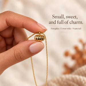 Peut inclure: Un pendentif citrouille doré sur une chaîne fine. Le texte indique : Small, sweet, and full of charm. Pumpkin: 13 mm wide · 9 mm tall. Le pendentif présente un design arrondi et nervuré avec une petite boucle sur le dessus pour la chaîne.