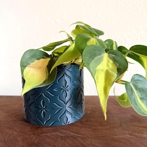 May include: A dark teal cylindrical planter with a repeating embossed quatrefoil pattern. A trailing philodendron plant with heart-shaped leaves featuring variegated patterns of dark green, light green, and creamy yellow grows from the pot.