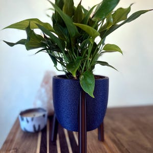 May include: A vibrant green peace lily plant with white spathes potted in a textured, deep blue cylindrical planter. The planter is supported by three dark brown wooden legs. The logo Timeless Timber is visible in the bottom right corner.