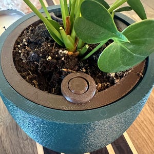 May include: A dark teal, textured, cylindrical plant pot containing a green plant with broad leaves. The pot features a brown, circular, tiered insert at the top rim, and a small logo in the bottom right corner reads Timeless Timber.
