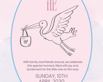 Gender Reveal Invite