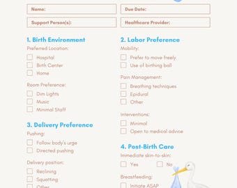 Birth Plan Baby Boy Printable and Digital