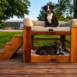 May include: A two-level wooden pet bunk bed with a natural stained finish and a set of attached stairs. The top level features a beige cushioned mattress, while the bottom level includes a flat bed pad. Two dogs are resting on the structure.