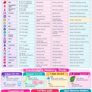 Op de afbeelding: Een spiekbriefje voor verpleegkundige labwaarden getiteld Nursing Labs You Should Know NCLEX High-Yield Cheat Sheet. Het document bevat een tabel met algemene labwaarden, geheugensteuntjes voor elektrolyten en secties over hart- en stollingslabs.