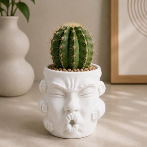 3D-geprinte bloempot in de vorm van een gezicht, moderne succulentenpot, milieuvriendelijke PLA bureaudecoratie