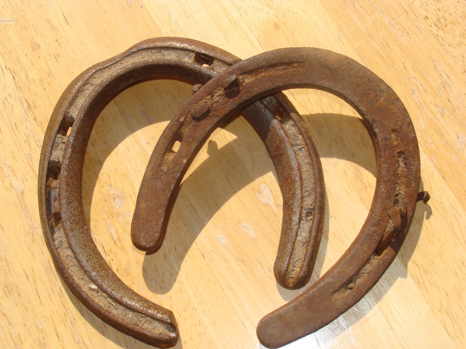 Horseshoes Vintage Horseshoes Rustic Horseshoe Rustic Home Etsy