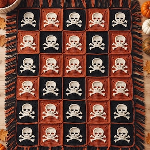 May include: A rectangular crochet blanket featuring a repeating grid pattern of alternating black and orange squares. Each square displays a white crocheted skull and crossbones motif. The blanket is finished with long black and orange fringe.