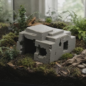 Peut inclure: Une structure grise rectangulaire en béton avec un intérieur creux et des bords usés, présentant un toit en gradins et plusieurs ouvertures, placée dans un terrarium rempli de mousse verte, de fougères et de petits cailloux.