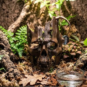 Peut inclure: Une cachette pour reptile en forme de crâne brun avec une finition texturée semblable à du bois est placée dans un terrarium rempli de fougères vertes, de mousse et de feuilles séchées. Un petit gecko est visible dans l'orbite gauche.
