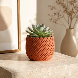 Puede incluir: Una maceta pequeña y redonda de color terracota con un patrón diagonal repetitivo y texturizado en el exterior. La maceta contiene una suculenta de color verde claro con hojas gruesas y puntiagudas dispuestas en forma de roseta.