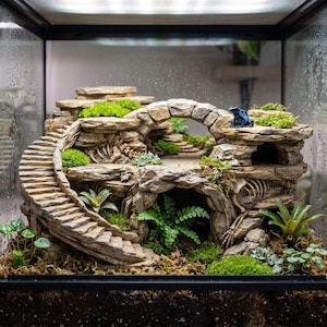 May include: A glass terrarium containing a multi-level stone structure with a spiral staircase, a stone archway, and integrated cave openings. The structure features embedded skeletal remains, green moss, and small ferns, with a blue frog perched on top.