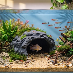 Wide Entrance Rock Cave Hide – 3D Printed Reptile & Aquarium Decor